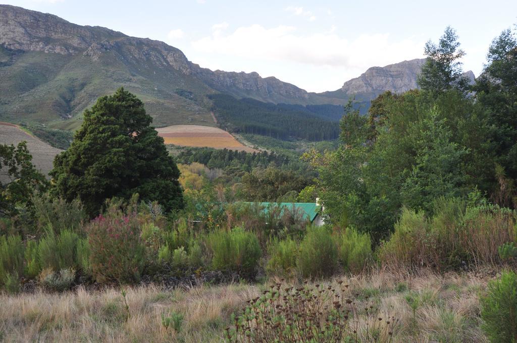 Kierie Kwaak Self Catering Villa Stellenbosch Exteriör bild
